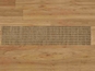 sh92161